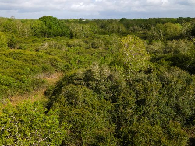 Land for sale in Blessing, Texas