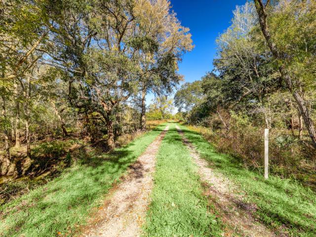 Farm for sale in Damon, Texas
