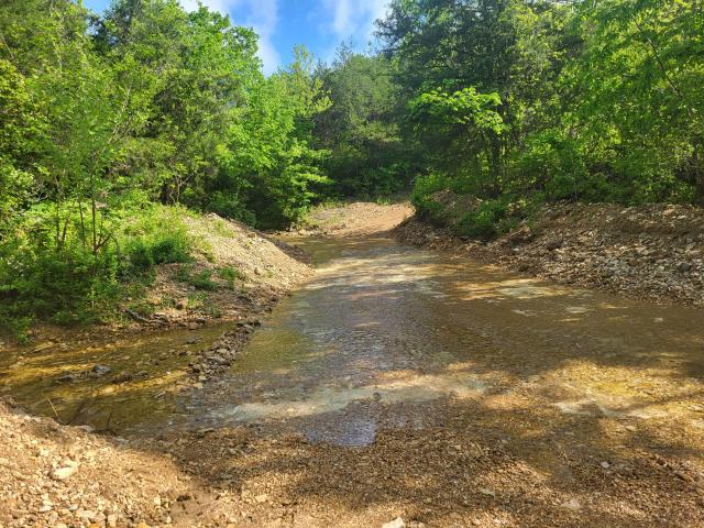 Land for sale in Gainesville, Missouri