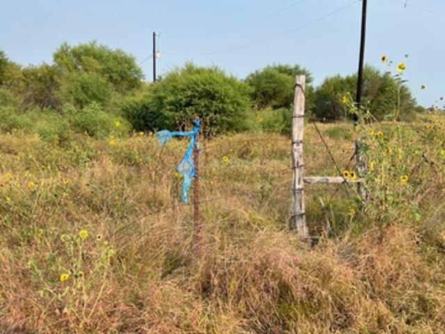 Land for sale in Medina, Texas