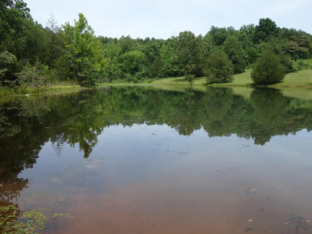 Land for sale in Winona, Shannon County