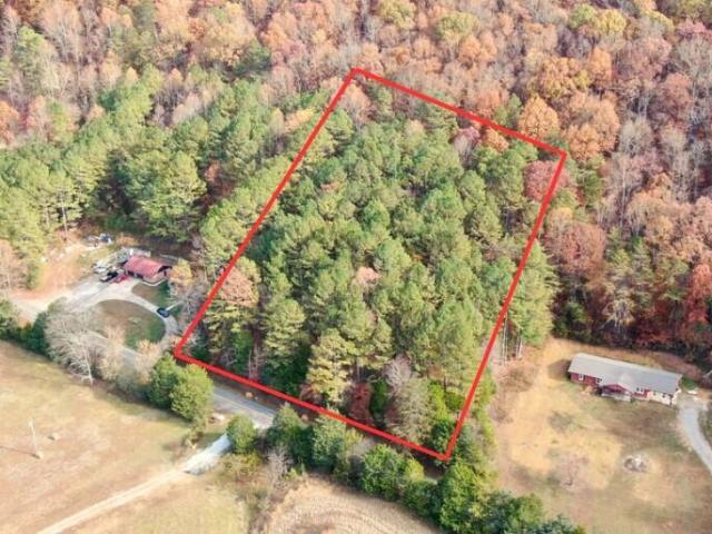 Land for sale in Riceville