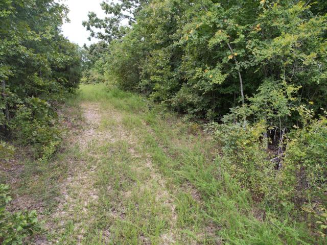 Land for sale in Ava, Missouri