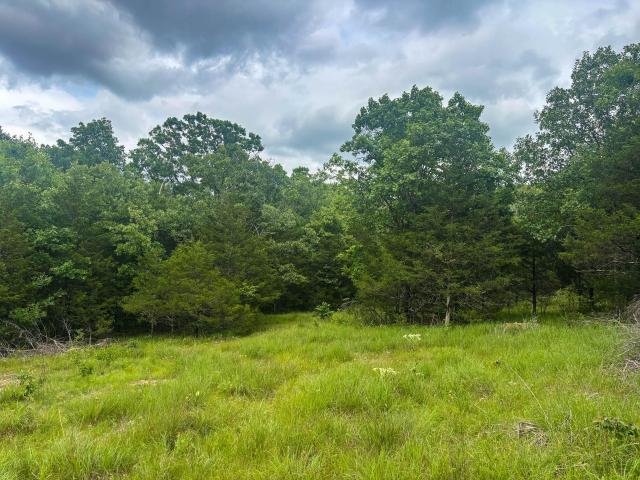Land for sale in Gainesville, Missouri