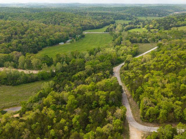 Land for sale in Gainesville, Missouri