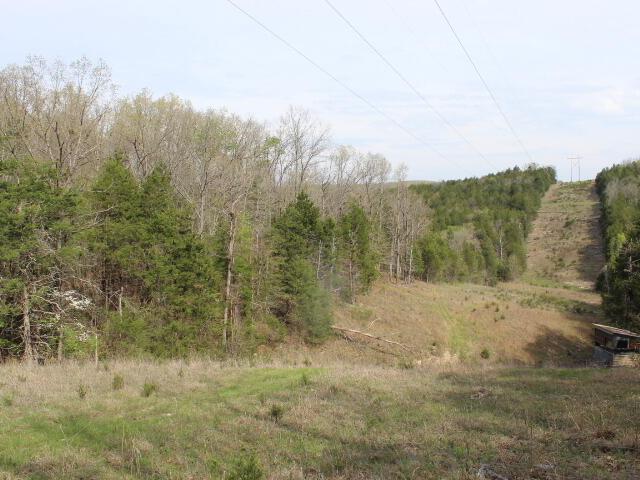 Land for sale in Gainesville, Missouri