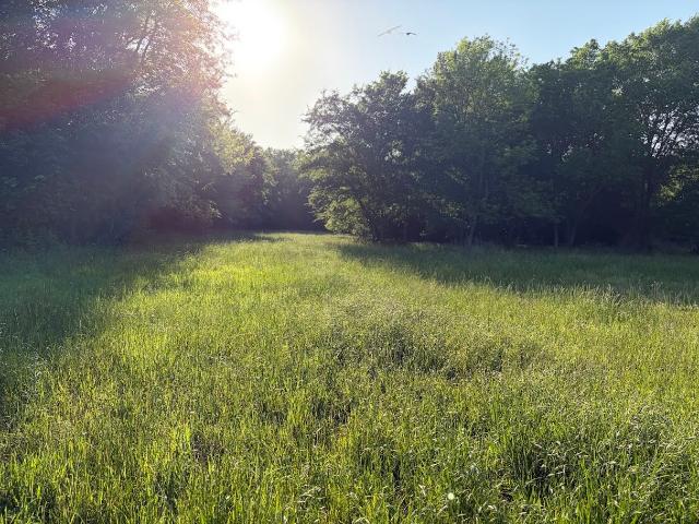 Land for sale in Teague, Texas