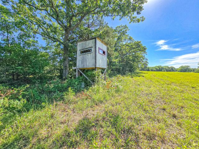 Land for sale in Hickory, Missouri