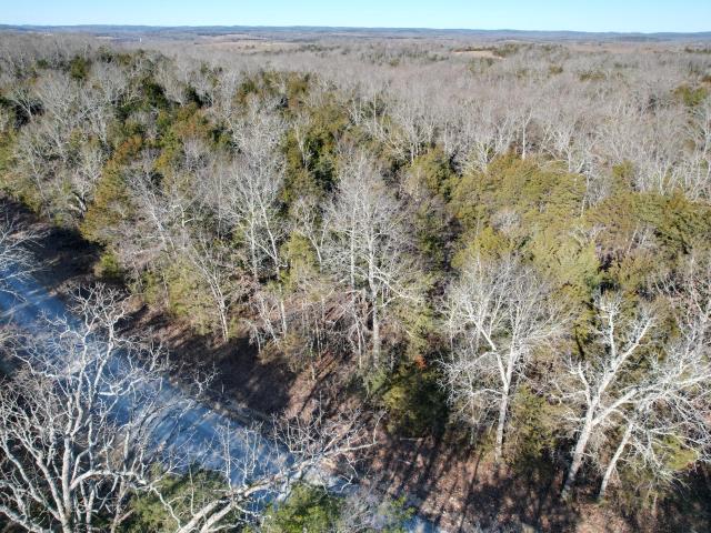 Land for sale in Theodosia, Missouri