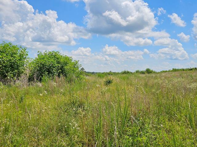 Land for sale in Hillsboro
