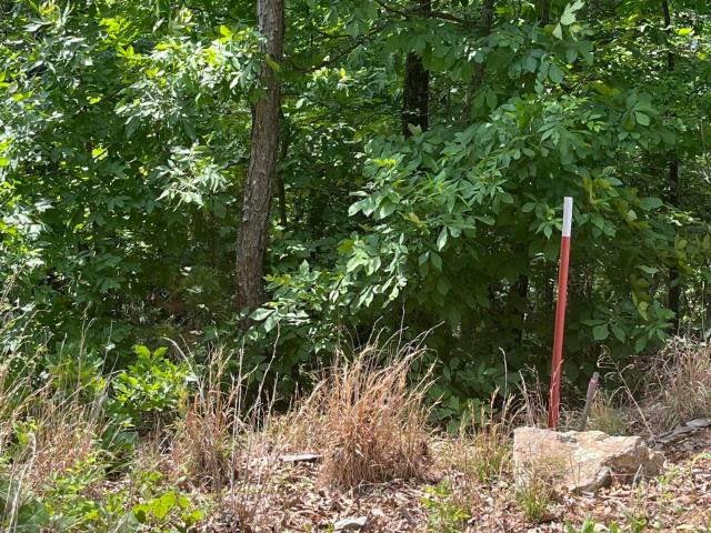 Land for sale in Norwood, Missouri