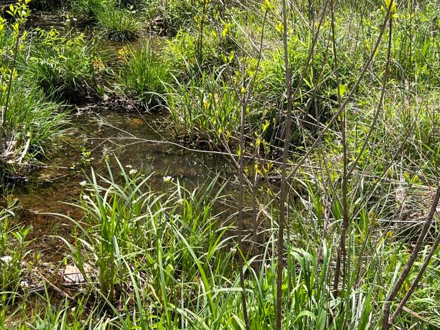 Land for sale in Alton, Missouri