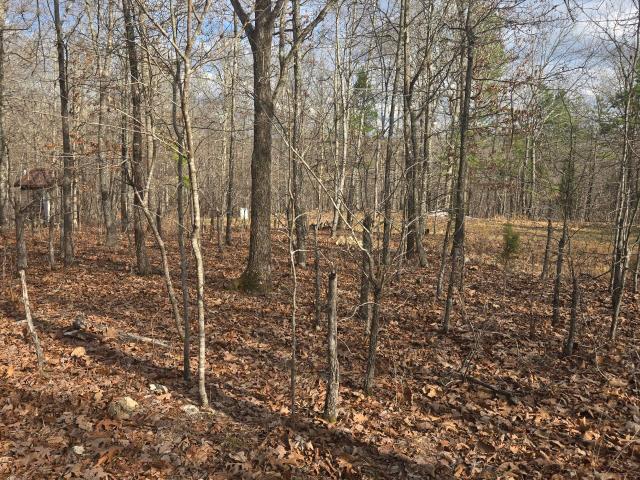 Land for sale in Birch Tree, Missouri