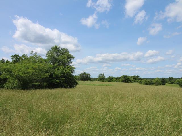 Land for sale in Caulfield