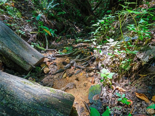 Land for sale in Yancey, North Carolina