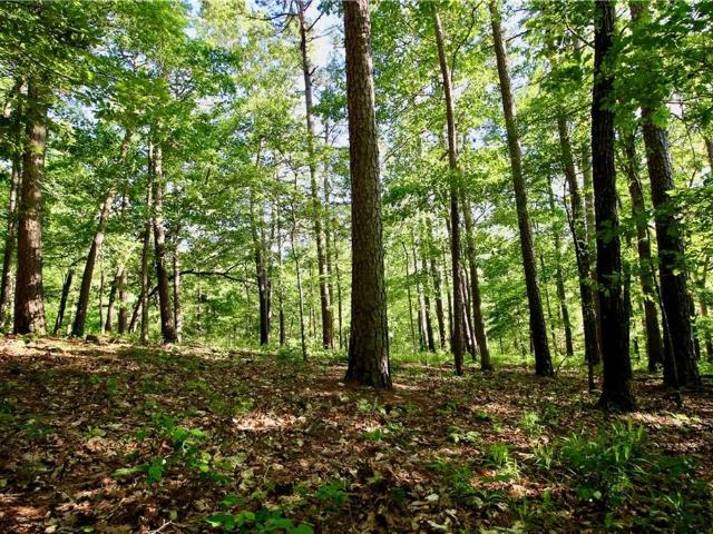 Land for sale in Ark
