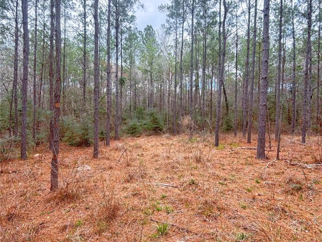 Land for sale in Newton County, Texas