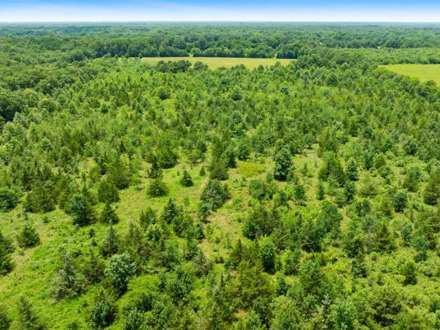 Land for sale in Clarksville, Texas