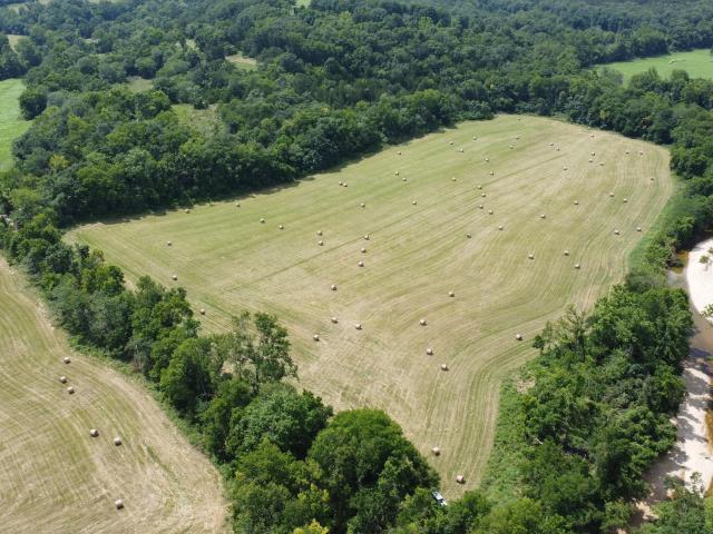Land for sale in Ava, Missouri
