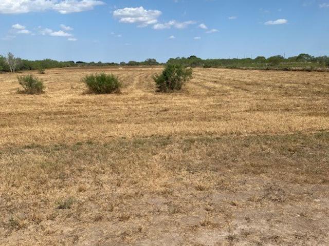 Land for sale in Alice, Jim Wells County