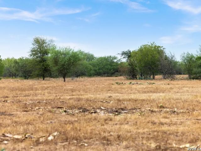 Farm for sale in Nixon, Gonzales County