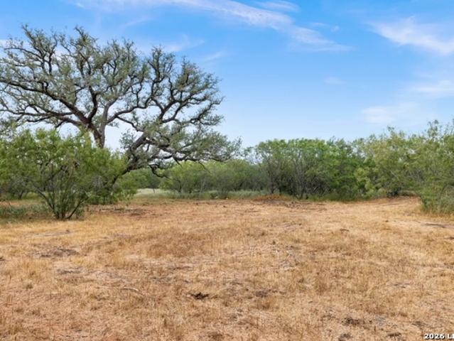 Farm for sale in Nixon, Gonzales County