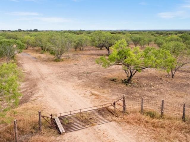 Farm for sale in Nixon, Gonzales County