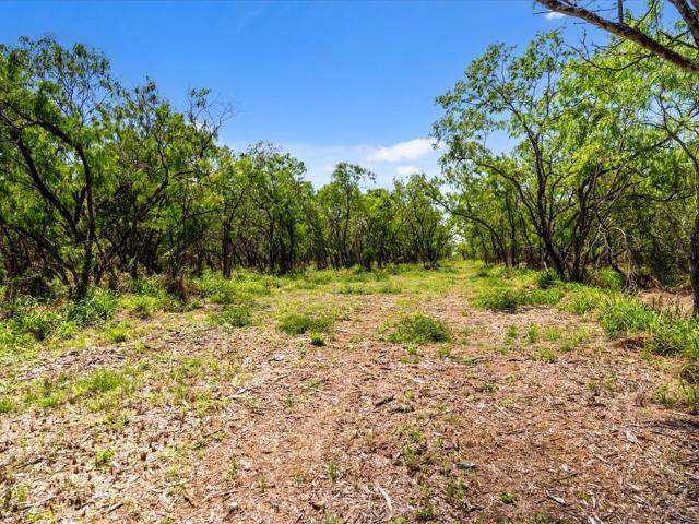 Land for sale in Sandia