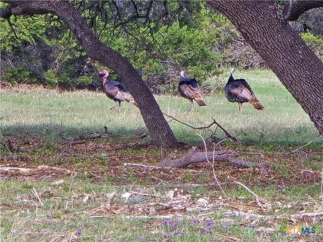 Land for sale in Lampasas, Texas