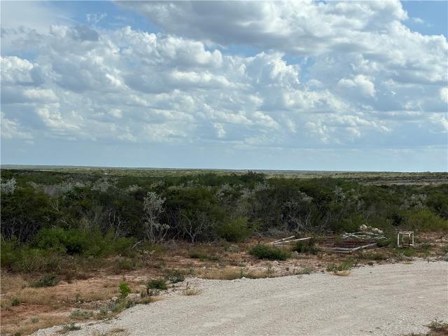 Land for sale in San Diego, Texas