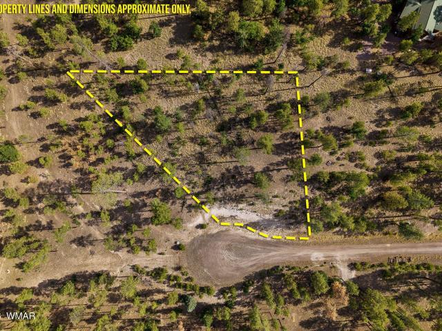 Land for sale in Alpine, Arizona