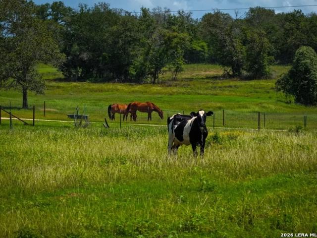 Farm for sale in Cost, Texas