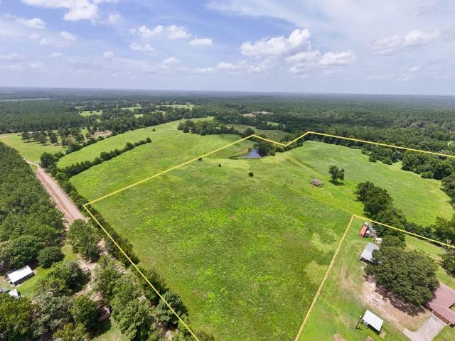 Land for sale in Colmesneil, Texas