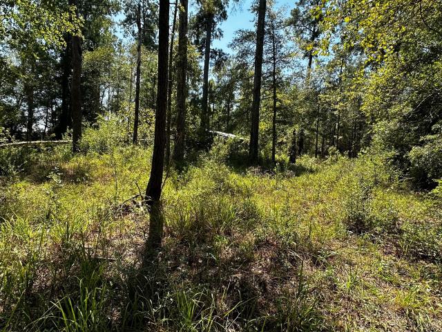 Farm for sale in Bleakwood, Kirbyville