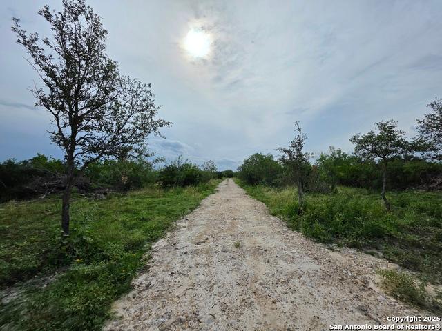 Land for sale in D Hanis, Texas