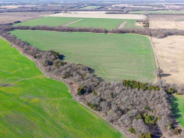 Land for sale in Delta, Texas