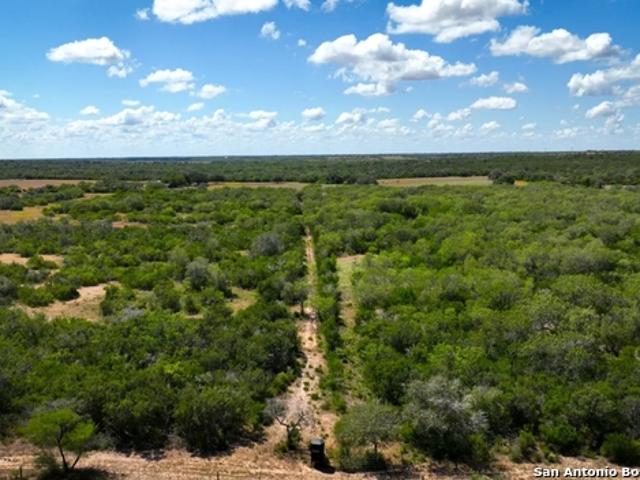 Land for sale in Bee, Texas