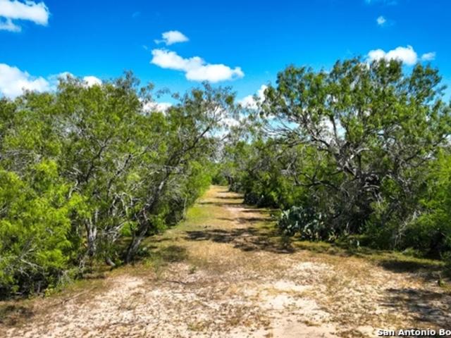 Land for sale in Bee, Texas
