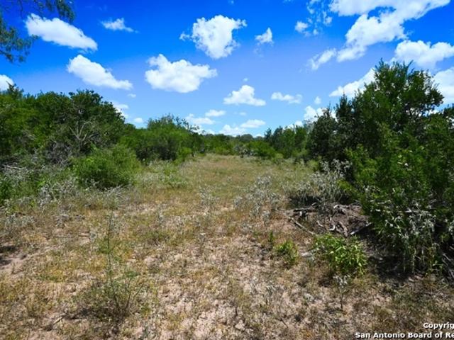 Land for sale in Bee, Texas