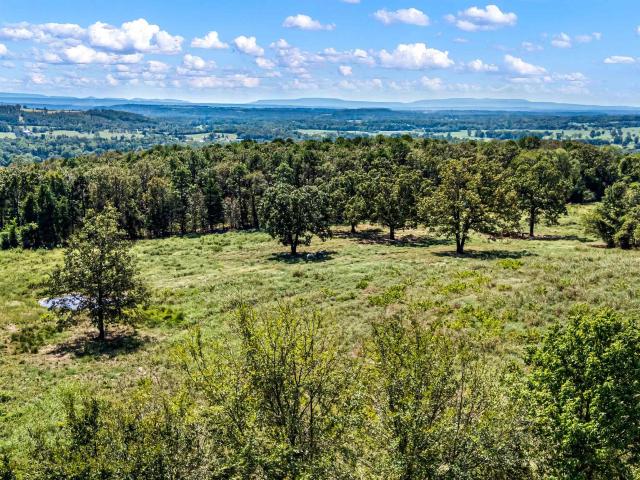 Land for sale in Lamar, Johnson County