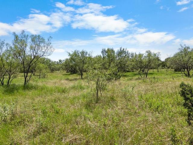 Land for sale in Hico, Texas