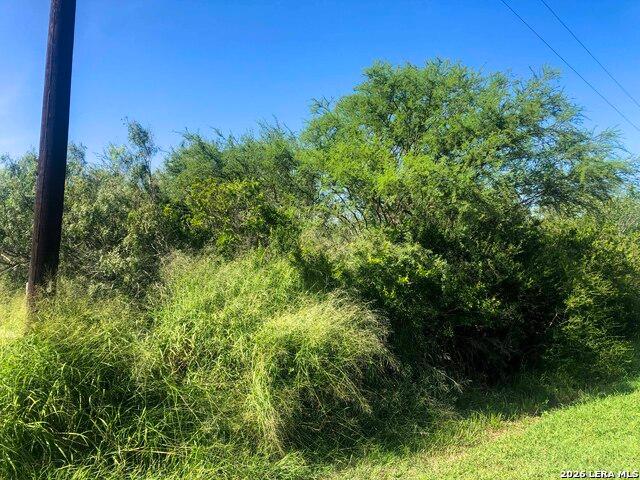 Land for sale in Bee, Texas