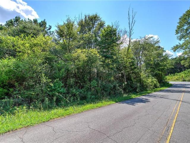 Land for sale in Bartow, Georgia