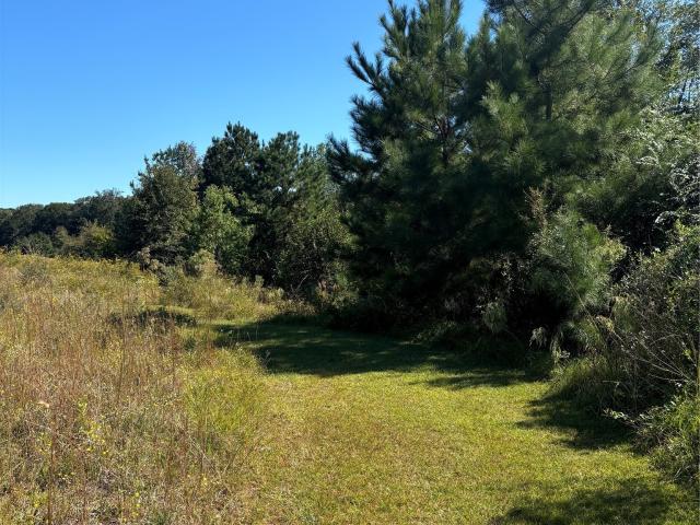 Land for sale in Geneva, Alabama