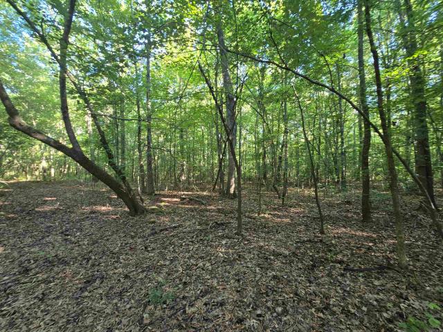 Land for sale in Ark