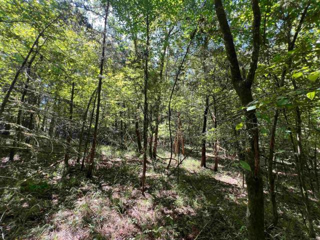 Land for sale in Ark