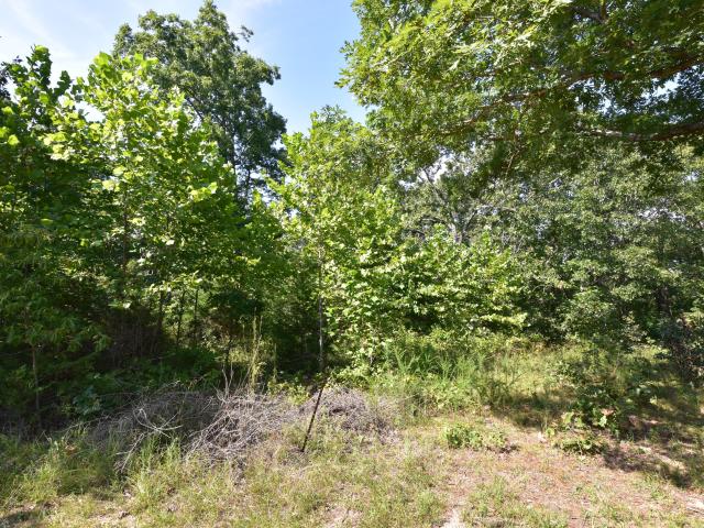 Land for sale in Fordland, Missouri