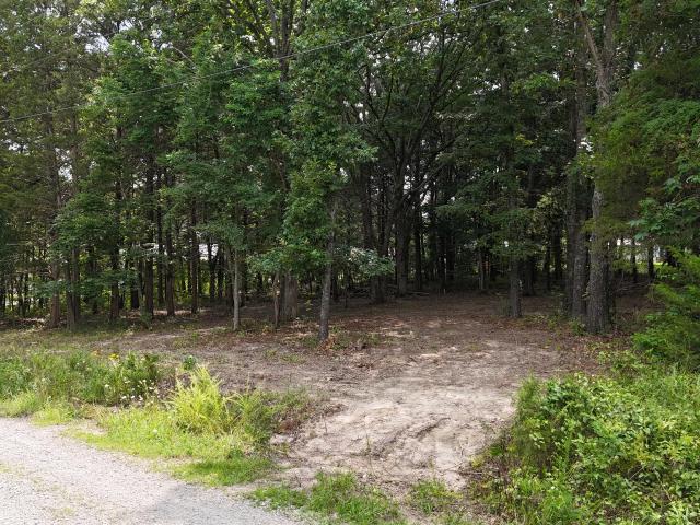 Land for sale in Stone, Missouri