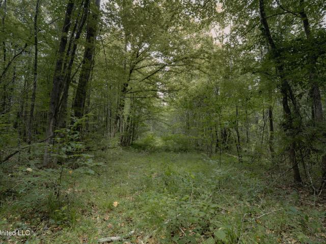 Land for sale in Durant, Mississippi
