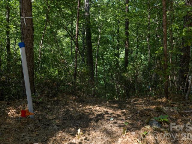 Land for sale in Rutherford, North Carolina